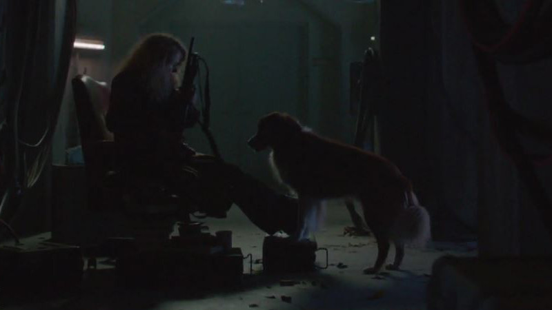 A girl and her dog